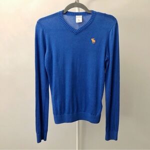 NWT Abercrombie & Fitch Kids Relaxed Fit Casual Royal Blue V Neck Long Sleeves